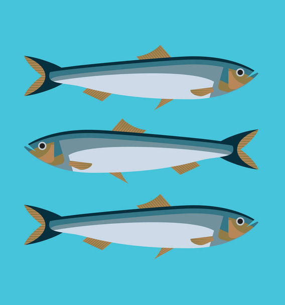 Anchovy, sardines, salt-water forage fish, family Engraulidae, seafood healthy meal, isolated, label packaging design element, flat style, icon, graphic symbol. Vector illustration on blue - Vector, Image