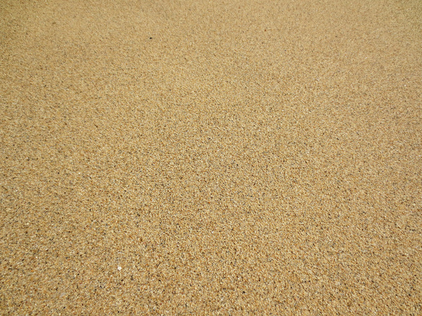 Grains of Kahala Beach Sand - Valokuva, kuva