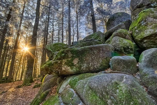 In der Nähe des Guenterfelsen, gefrorene moosige Felsen, der Brendweg, im Schwarzwald, Südwestdeutschland - Foto, Bild