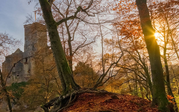 Castle Roetteln a thousand year old ruin near the City of Loerrach, viewed through autumn trees, in the Black Forest, Germany - 写真・画像