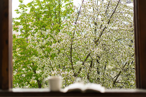 Libro, vasos, taza de té y tulipanes rojos en una ventana de madera. Lee y descansa. Acogedor concepto primavera. - Foto, imagen