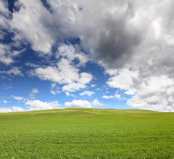 Colina verde com grama sob o céu
 - Foto, Imagem