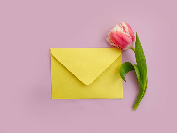 envelope, flower tulip on a colored background - Photo, Image