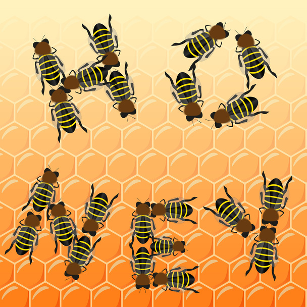 στόλου μέλισσες ως κείμενο στην κηρήθρα, κάτοψη - Διάνυσμα, εικόνα