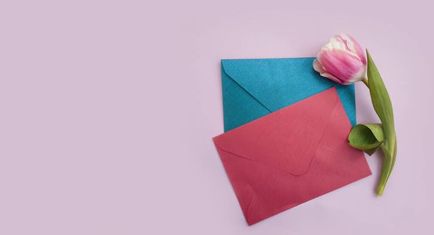 envelope, flower tulip on a colored background - Photo, Image