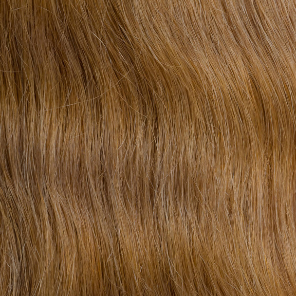 Human hair wig on a mannequin. Back view. Blonde. Straight hair - Photo, Image
