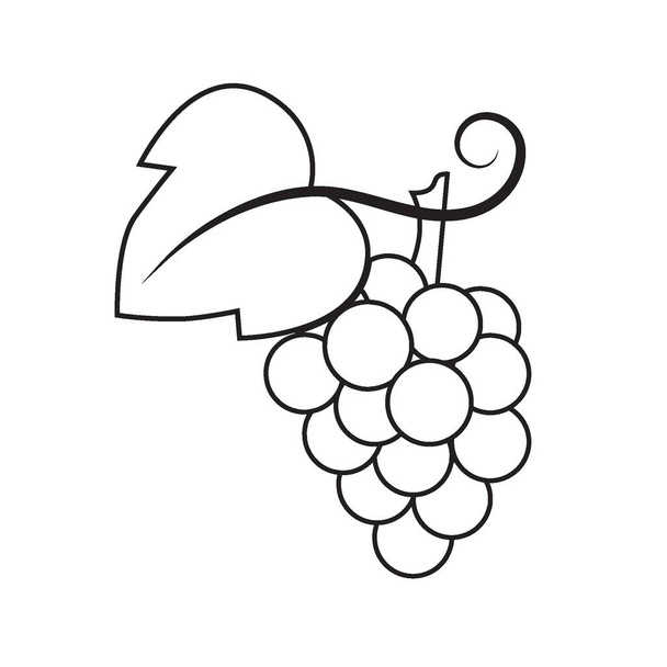 vetor simples desenho linha fina logotipo abstrato ícone galho cacho de uvas isoladas preto no fundo branco - Vetor, Imagem