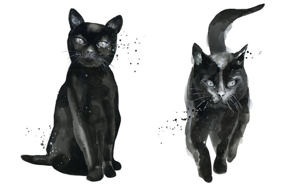 Des chats noirs qui marchent et s'assoient. Ensemble aquarelle animale. Illustration aquarelle isolée sur fond blanc - Photo, image