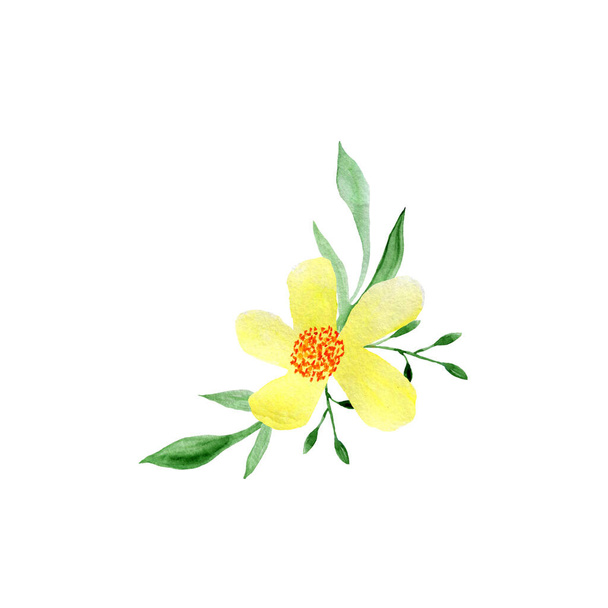 Watercolor yellow flowers compositions. Wedding invitations. Greeting cards. - Foto, afbeelding