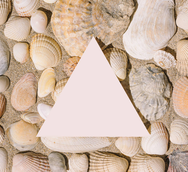Una gran cantidad de diferentes conchas de mar disposición con triángulo blanco enmarcado espacio de copia creativa. - Foto, imagen