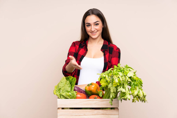 Rolnik ze świeżo zebranymi warzywami w pudełku odizolowanym na beżowym tle, uścisk dłoni po dobrej cenie - Zdjęcie, obraz