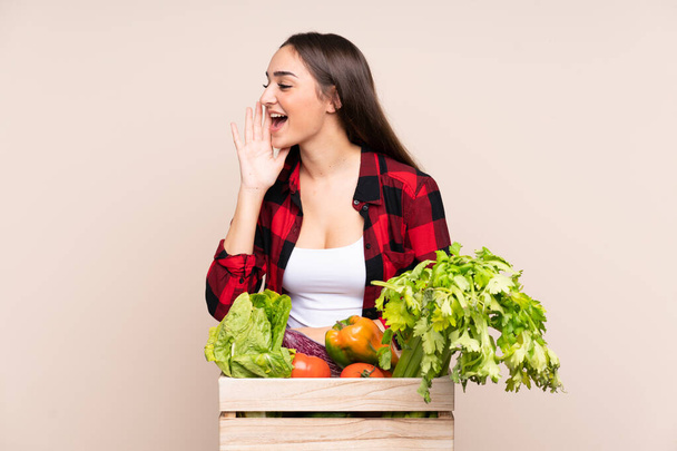 Rolnik ze świeżo zebranymi warzywami w pudełku odizolowanym na beżowym tle krzyczący z szeroko otwartymi ustami - Zdjęcie, obraz
