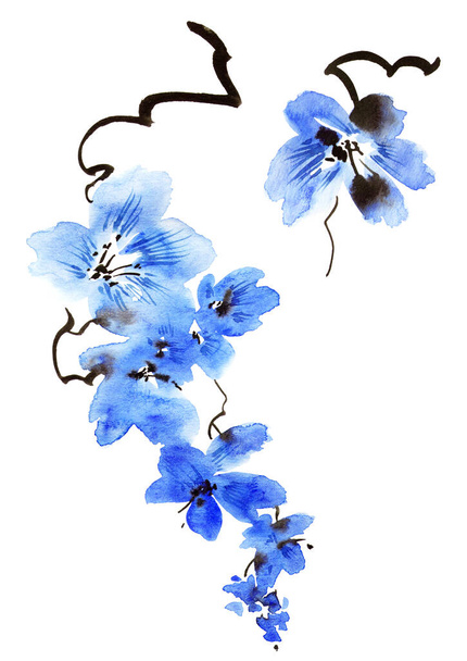 Υδατογραφία απεικόνιση του κλαδιού άνθους δέντρο με μπλε λουλούδια. Oriental παραδοσιακή ζωγραφική σε στυλ sumi-e, u-sin και gohua. Λουλούδια σε λευκό φόντο. - Φωτογραφία, εικόνα