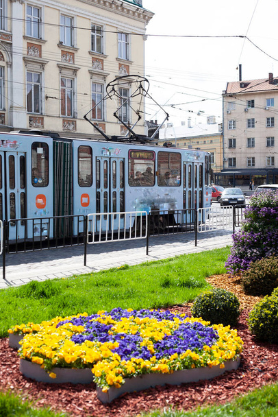 Calle del casco antiguo de Lviv, tranvía. macizos de flores con flores azules y amarillas, sakura - Foto, Imagen