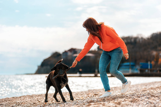 Eine junge Frau spielt mit einem schwarzen Hund am Strand und nimmt ihm einen Stock aus dem Mund. Spiele mit Haustieren im Freien. Das Konzept der Haustierpflege. - Foto, Bild