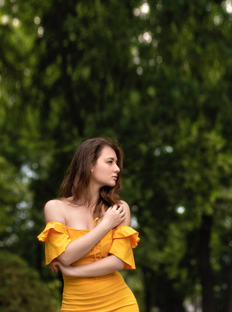 Bella donna con la testa rossa e il vestito giallo. Splendida ragazza cammina sul parco - Foto, immagini