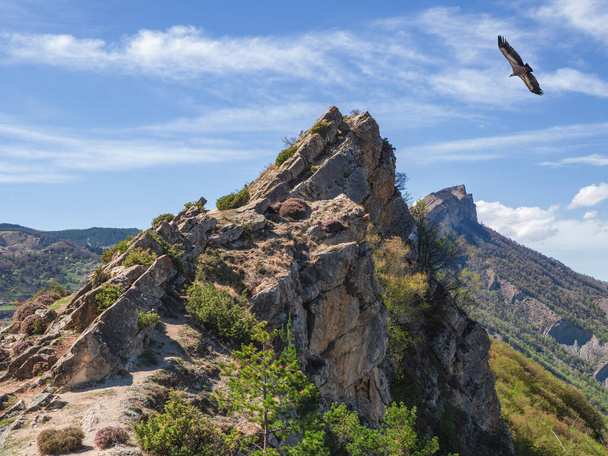Een vliegende adelaar boven een rotsachtige klif. Griffon Vulture Gyps fulvus vliegen op de hemel boven de bergen. Dagestan. - Foto, afbeelding