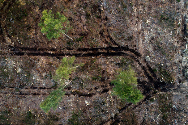 An aerial of muddy wood forwarder tracks on a clear-cut area in Estonia, Northern Europe. - Foto, afbeelding