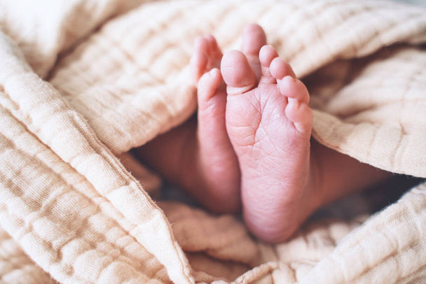 Close-up of cute newborn baby feet wrapped in blanket. Tiny legs of new born child. - Zdjęcie, obraz