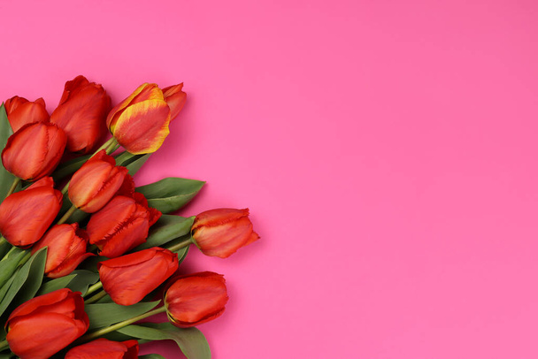 Red tulips on a pink background. Blank for a postcard - Photo, Image