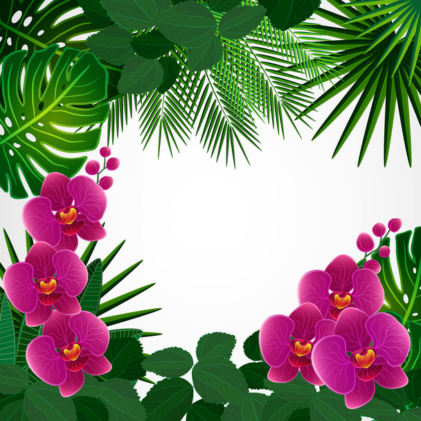 Floral design background. Orchid flowers. - Vector, afbeelding