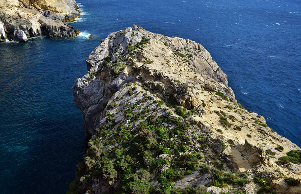 The rocky cliff with headland and vegetation in Maltese bay - Foto, afbeelding
