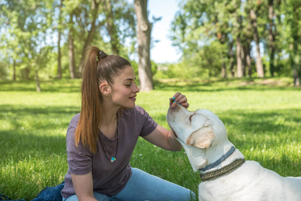 Νεαρή όμορφη γυναίκα παίζει και να απολαύσετε με το κατοικίδιο σκυλί της το χρυσό Λαμπραντόρ Retriever στο πάρκο σε μια ηλιόλουστη και όμορφη μέρα - Φωτογραφία, εικόνα