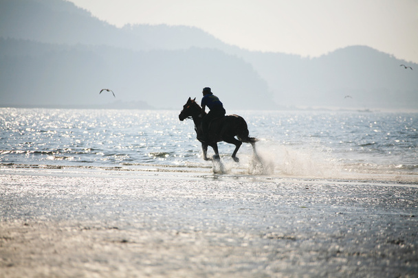 The horse rider - Fotoğraf, Görsel