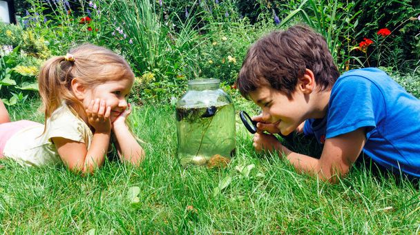 Ötletek szórakoztató tevékenységek gyerekeknek nyáron az iskolai szünetben. A gyerekek nagyítóval vizsgálják meg a tóban fogott vízi élőlényeket egy üvegedényben lévő makeshift akváriumban.. - Fotó, kép