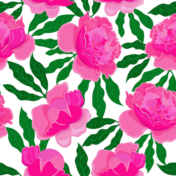 Pink peonies on white background. Seamless floral pattern, vector. - Vector, Imagen