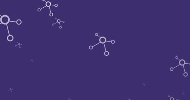 Animation d'un réseau de connexions volant au-dessus d'un fond violet. réseau mondial, technologie et concept d'interface numérique vidéo générée numériquement. - Séquence, vidéo
