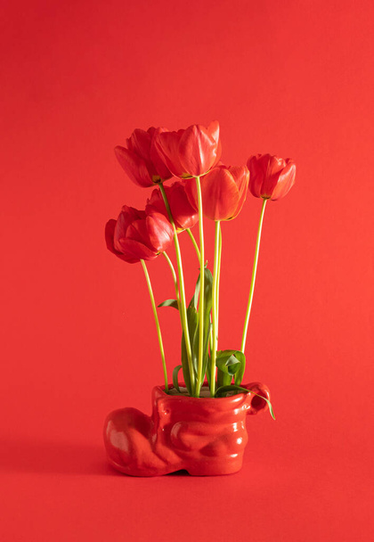 tulipes rouges fraîches et feuilles vertes poussant à partir du pot de fleurs de chaussures rouges sur fond rouge ensoleillé d'été. art abstrait. décoration créative minimale - Photo, image