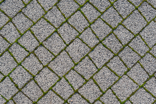 Vista superior del pavimento de adoquines peatonales con musgo en las juntas - Foto, imagen