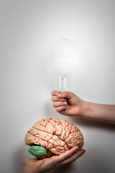 Vaardigheden en kennisconcept. Lamp- en hersenmodel op een lichte achtergrond - Foto, afbeelding