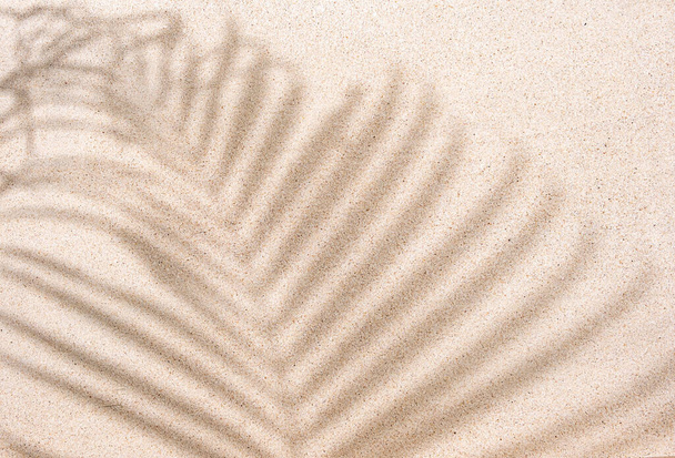 Ombre tropicale à feuilles de palmier sur fond de sable, espace de copie, vue de dessus - Photo, image