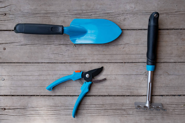 Small blue spatula, garden pruner and rake on the wooden floor. Gardeners tools - Photo, Image