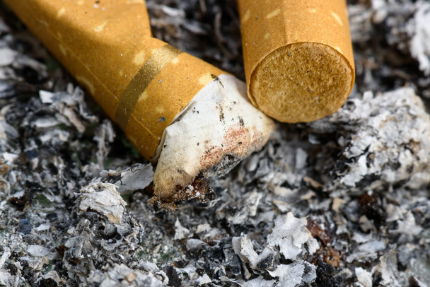 niedopałki papierosów - Zdjęcie, obraz