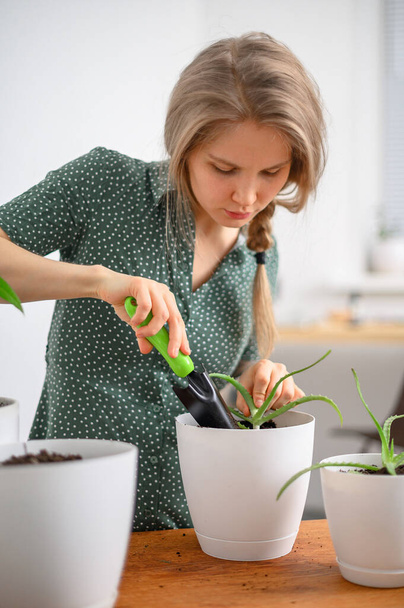 Девушка пересаживает растения дома в белых горшках - Фото, изображение