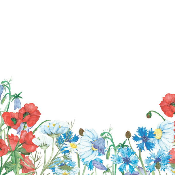 Watercolor hand painted nature wild floral composition with red poppy, white chamomile, blue cornflowers, lilac bluebell and green stems bouquet on the white background with space for text - Photo, image