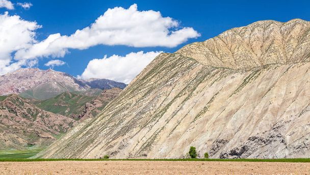 Hermosas montañas en Kirguistán cerca de Kazarman - Foto, imagen