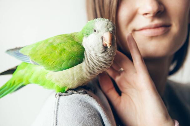 Zbliżenie uśmiechniętej kobiety i uroczego Monka Papużki. Przyjazna papuga Green Quaker siedzi na ramieniu kobiety w domu. Dziewczyna pieści papugę. Naturalne światło, selektywne fokus styl życia zdjęcie - Zdjęcie, obraz