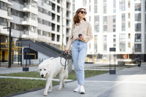 vrouw wandelen met haar grote witte hond op de straat - Foto, afbeelding
