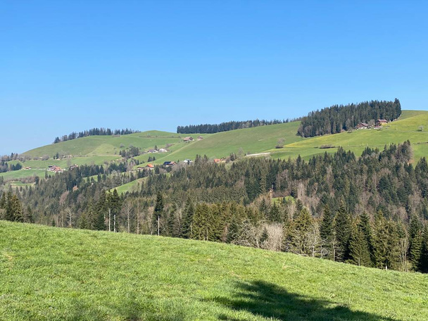 Florestas subalpinas mistas e uma variedade de árvores no início da primavera nas encostas do maciço montanhoso suíço Pilatus, Schwarzenberg LU - Cantão de Lucerna (Kanton Luzern), Suíça (Schweiz) - Foto, Imagem