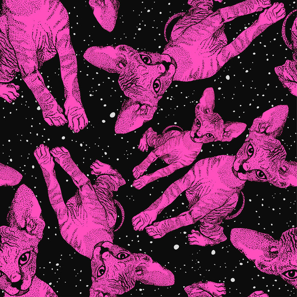 Γατάκια Σφίγγας. Οι γάτες στο βάθος του νυχτερινού έναστρου ουρανού, του διαστήματος. Αποτυπώματα για ρούχα, διαστημικό θέμα, μπλουζάκια. Διάνυσμα - Διάνυσμα, εικόνα