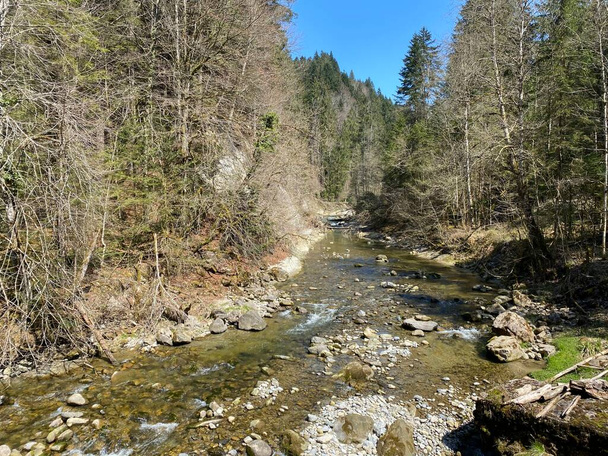 Subalpine river Ruemlig or Rumlig in a forest gorge at the bottom of the northern slopes of the Pilatus mountain massif, Schwarzenberg LU - Canton of Lucerne (Kanton Luzern), Switzerland - Photo, Image