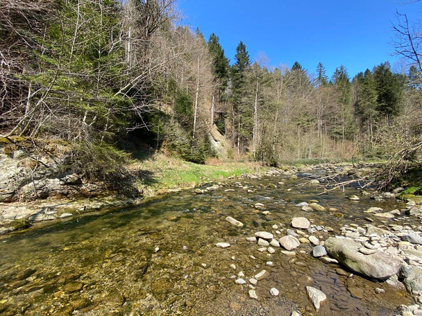 Υποαλπικός ποταμός Ruemlig ή Rumlig σε δασικό φαράγγι στον πυθμένα των βόρειων πλαγιές του ορεινού όγκου Pilatus, Schwarzenberg LU - Καντόνιο Lucerne (Kanton Luzern), Ελβετία - Φωτογραφία, εικόνα