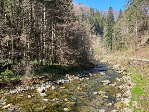 Subalpejska rzeka Ruemlig lub Rumlig w leśnym wąwozie na dnie północnych zboczy masywu górskiego Pilatus, Schwarzenberg LU - Kanton Lucerna (Kanton Luzern), Szwajcaria - Zdjęcie, obraz