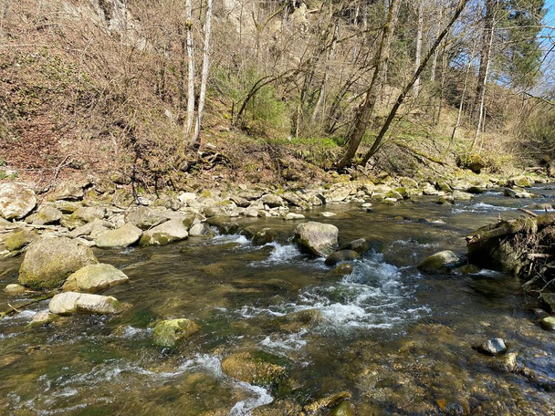 Subalpiene rivier Ruemlig of Rumlig in een boskloof op de bodem van de noordelijke hellingen van het Pilatus bergmassief, Schwarzenberg LU - Kanton Luzern, Zwitserland - Foto, afbeelding