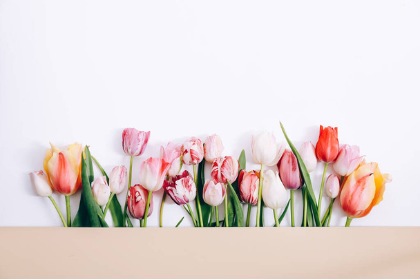 Bouquet of colorful tulips on white background, top view - Photo, Image