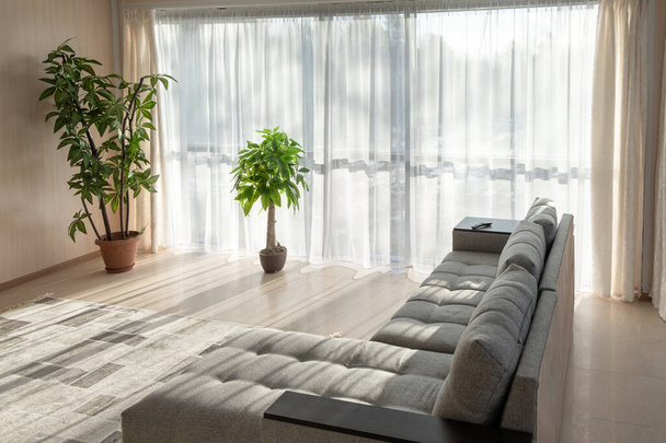 Big sofa and a large windows. Morning sunlight from the windows - Φωτογραφία, εικόνα